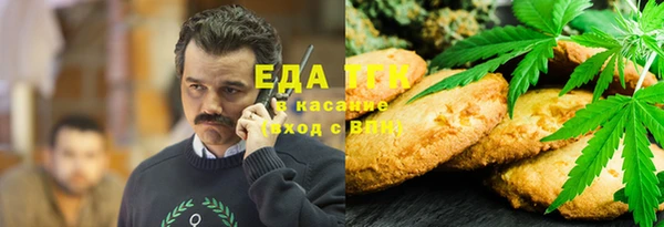 сатива Ельня