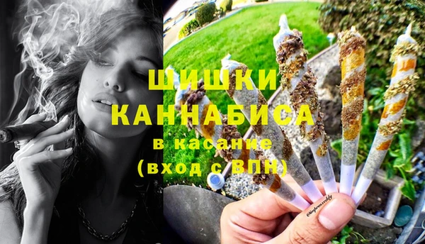 прущие крисы Медвежьегорск